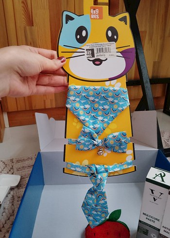 Karışık kedi ürünleri - Görsel 4