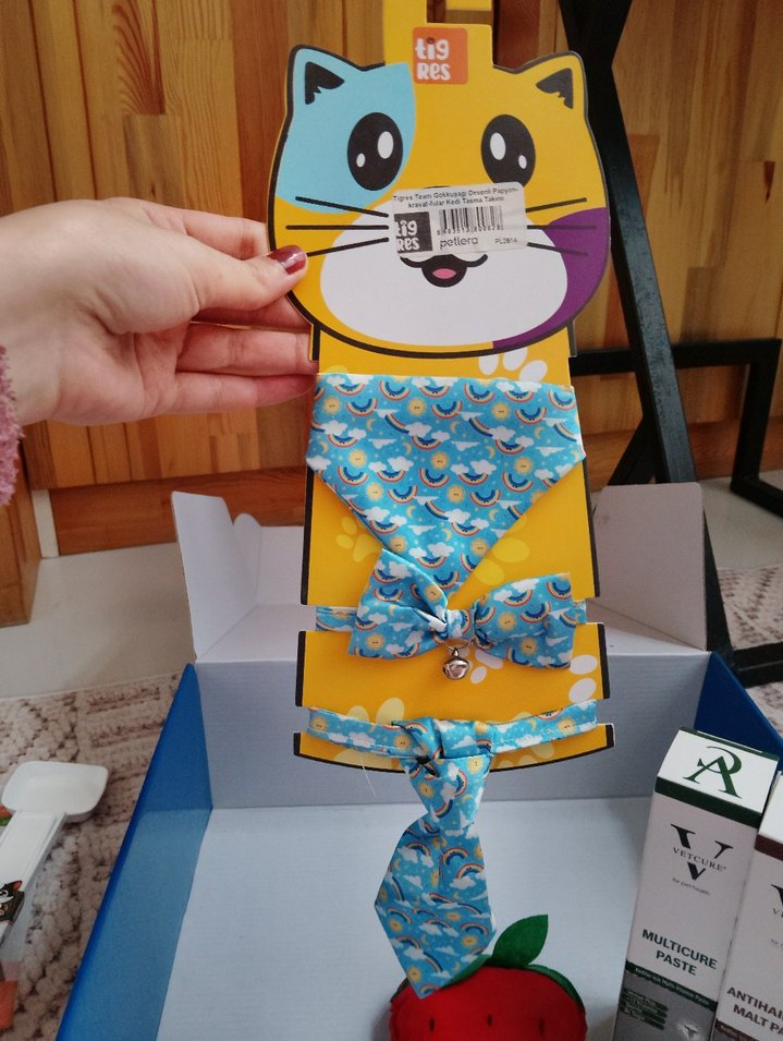 Karışık kedi ürünleri - Görsel 4