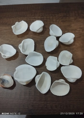 Beyaz Deniz Kabukları - Bohem Stil 15 adettir - Görsel 2