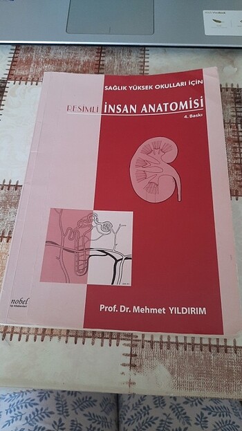 Anatomi 