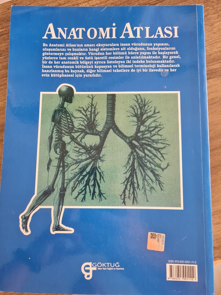 Anatomi kitabı - Görsel 2