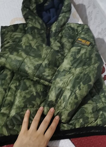 Lcw mont