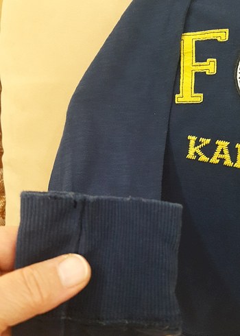 Fenerbahçe Baskılı Erkek Sweatshirt - Görsel 3