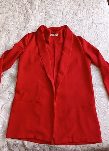 Diğer Sal yaka blazer ceket