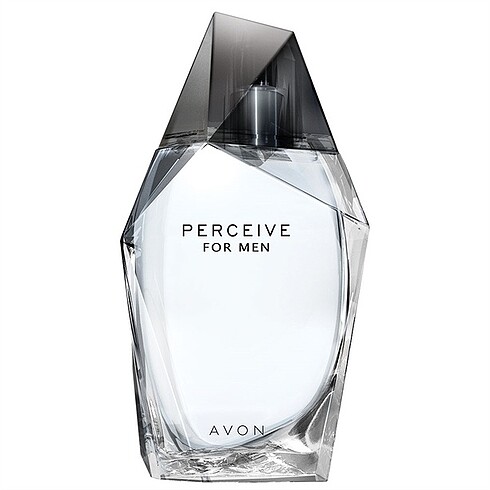 PERCEIVE ERKEK PARFÜM EDT 100ML