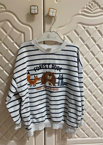 Erkek Çocuk Çizgili Baskılı Sweatshirt