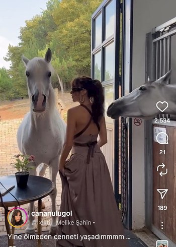 Bej Keten Uzun Drapeli Straplez Elbise - Görsel 13