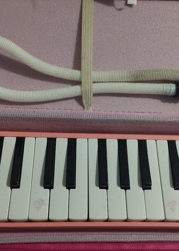 LİNO MELODIKA - Görsel 3