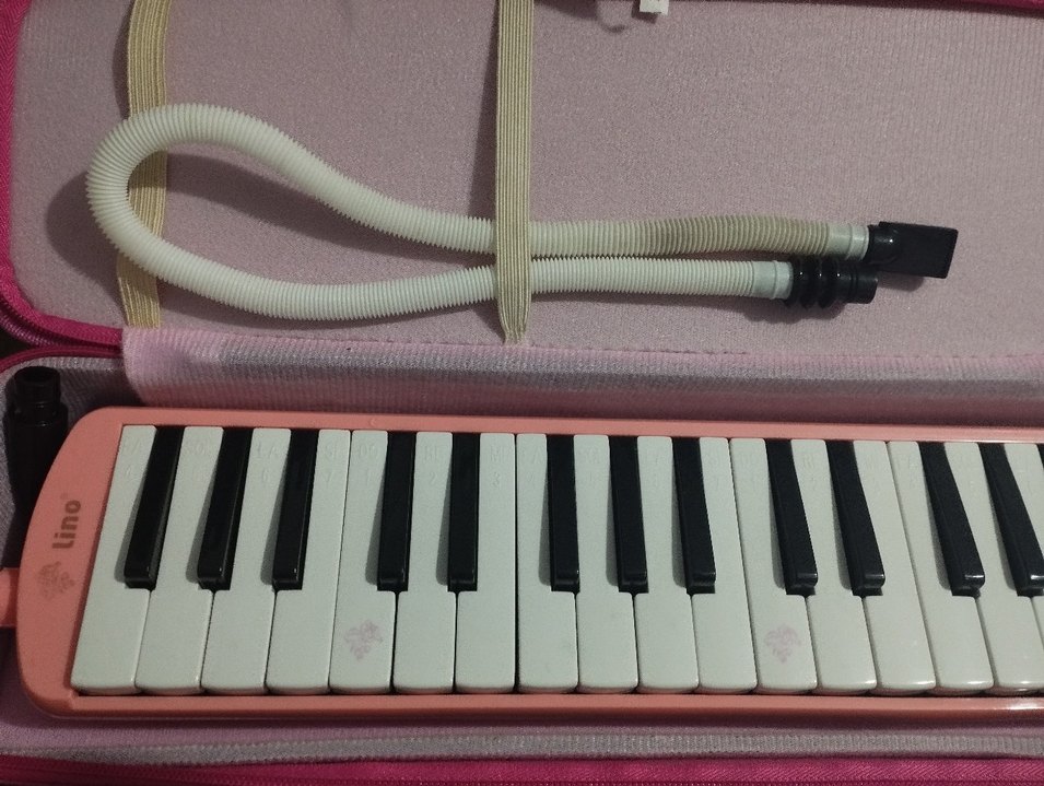 LİNO MELODIKA - Görsel 3