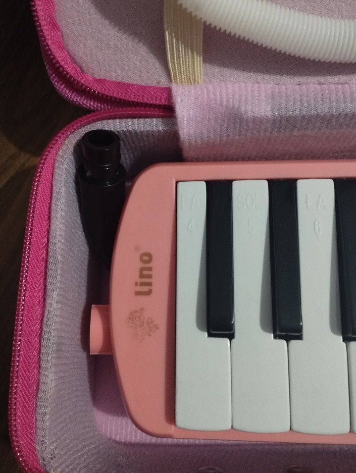 LİNO MELODIKA - Görsel 2