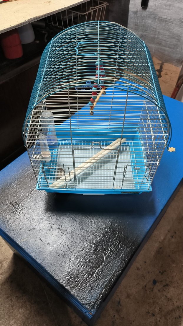 Mavi Kuş Kafesi - Görsel 2