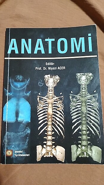 Anatomi Kitabi
