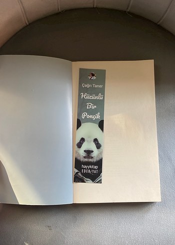 Hüzünlü Bir Ponçik - Çağrı Taner - Görsel 2