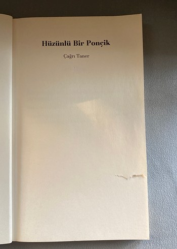 Hüzünlü Bir Ponçik - Çağrı Taner - Görsel 3