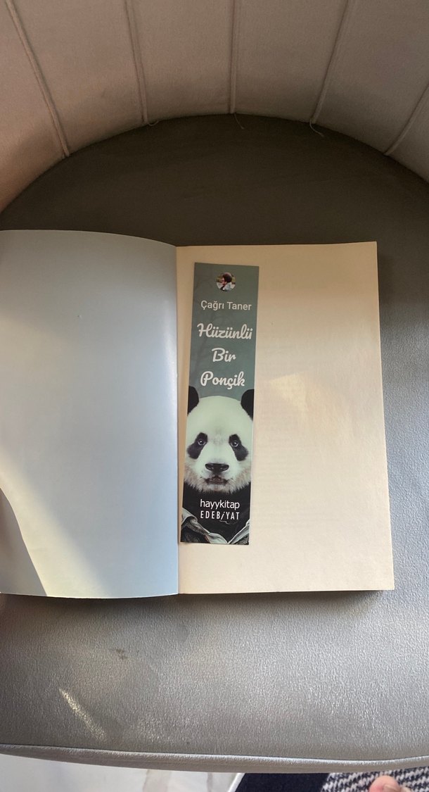 Hüzünlü Bir Ponçik - Çağrı Taner - Görsel 2