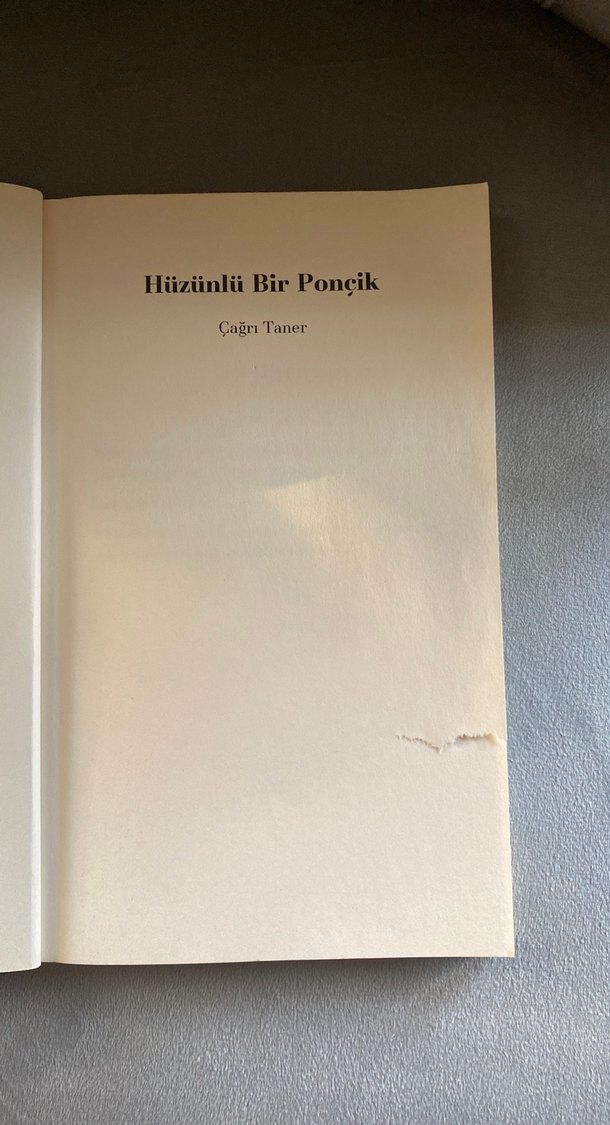 Hüzünlü Bir Ponçik - Çağrı Taner - Görsel 3