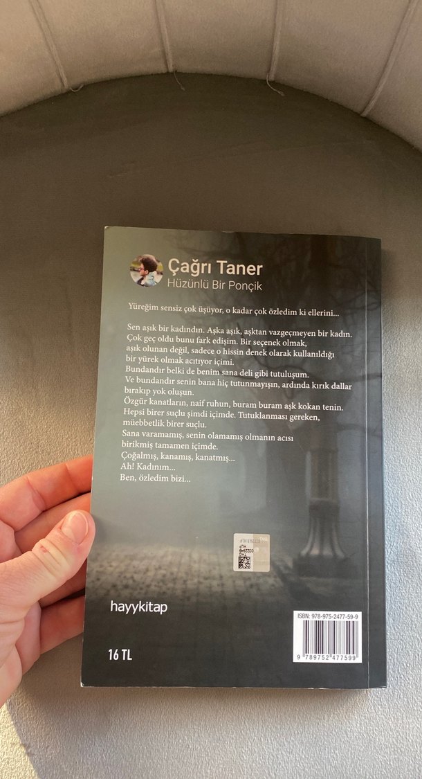 Hüzünlü Bir Ponçik - Çağrı Taner - Görsel 4