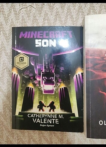  Minecraft ve assasins creed kitapları 