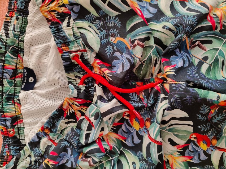 Renkli Bohem Desenli Erkek Şort Mayo - Görsel 2