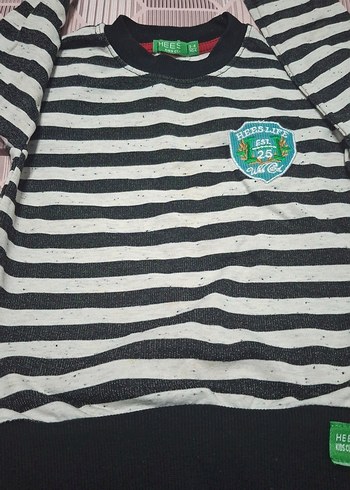 Gri Çizgili Erkek Çocuk Sweatshirt - Görsel 2