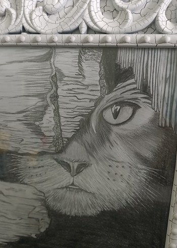  Beden gri Renk Karakalem Kedi Tablo