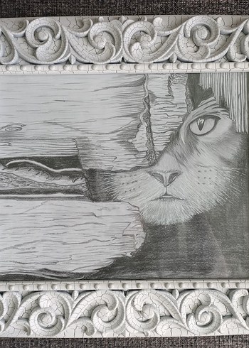 Karakalem Kedi Tablo