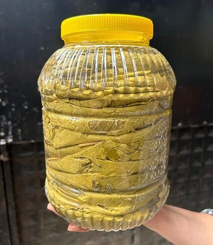 Diğer Salamura yaprak