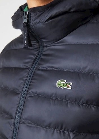 Lacoste xl