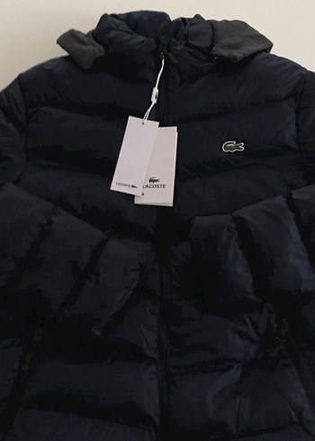 Lacoste Şişme Mont - Görsel 2