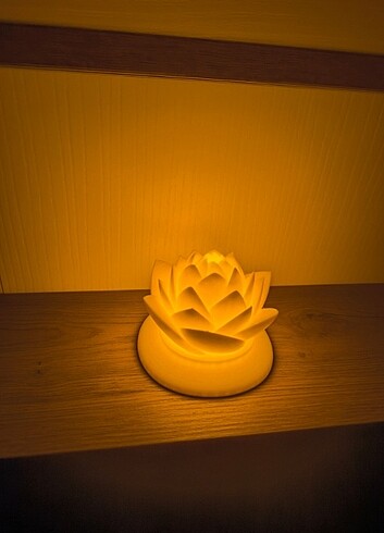 Diğer Lotus Mumluk