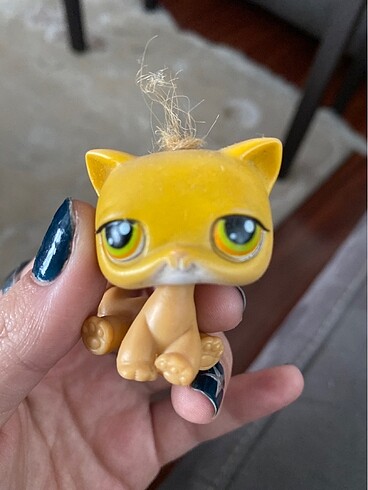 lps minisler