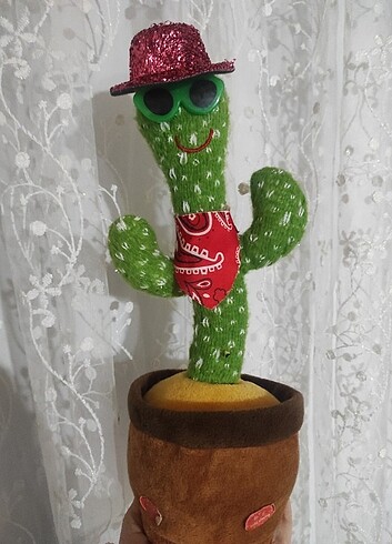 Oyuncak kaktüs 