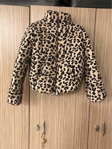 Leopar mont