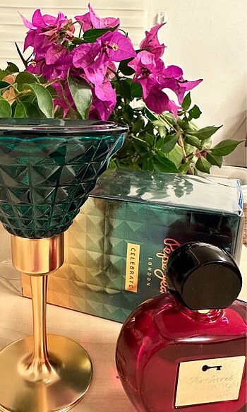 Antonia banderas parfüm