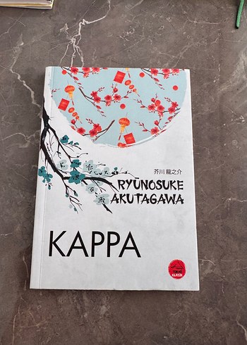  Beden Renk Kappa Romanı kitap