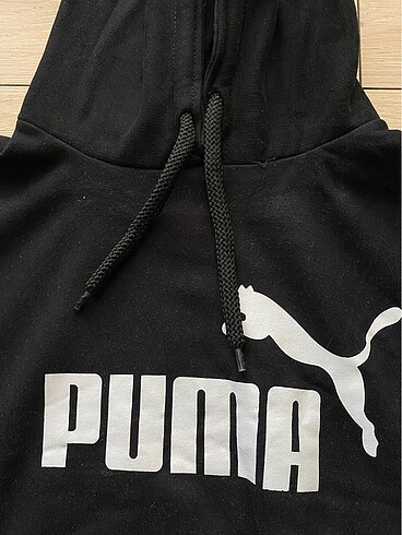 Puma sweet