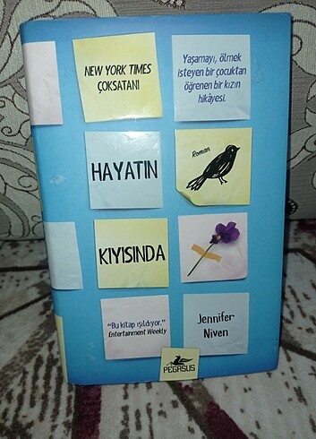 Hayatın Kıyısında 