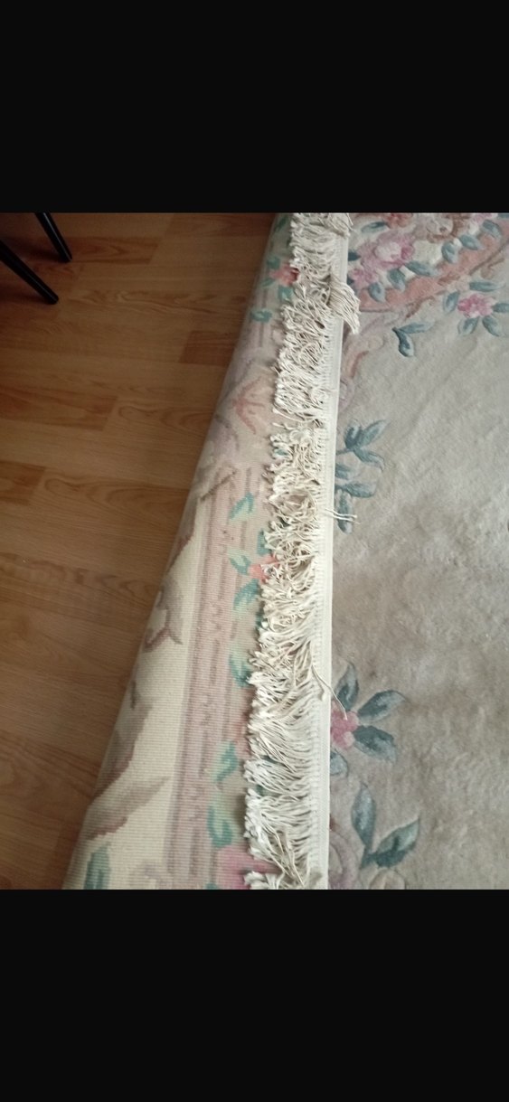 Pastel Bej Konvansiyonel Halı Çin yün halı - Görsel 4