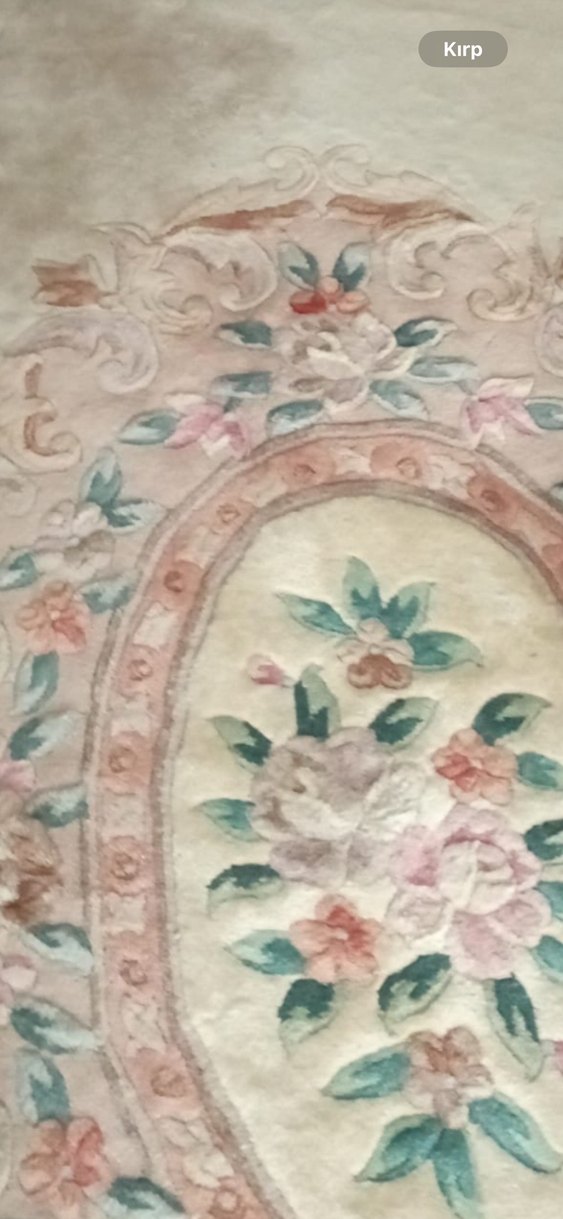 Pastel Bej Konvansiyonel Halı Çin yün halı - Görsel 3