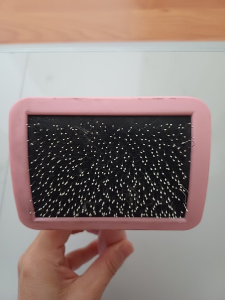 kedi tarağı - Görsel 3