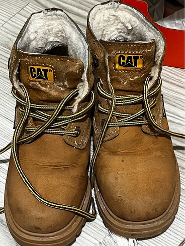 Cat bot çocuk