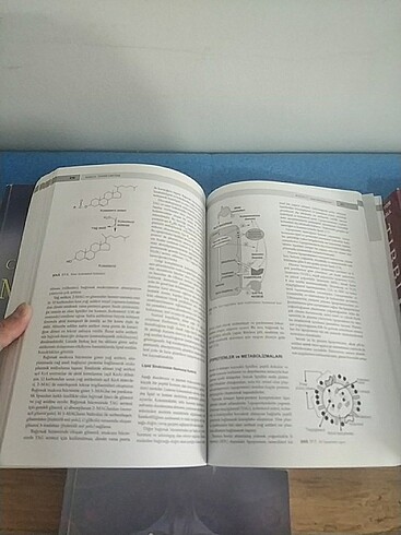Beden Renk Çeşitli textbooklar
