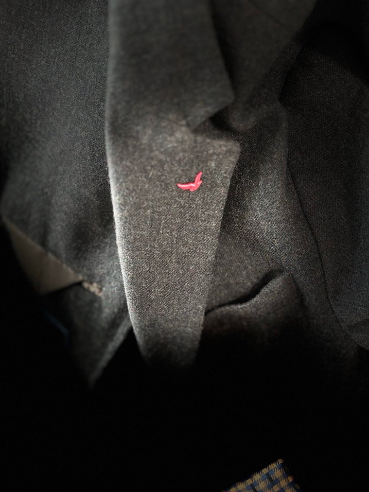 Ds Damat Blazer Ceket - Görsel 3