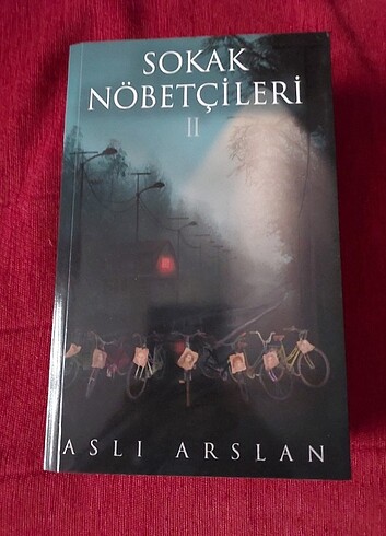 Sokak Nöbetçileri 2 - Aslı Arslan