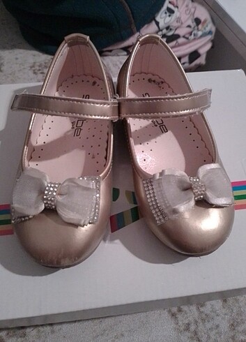 Walt Disney World Standart Beden