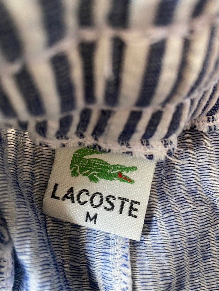 Renkli Çizgili Erkek Şort - Görsel 4