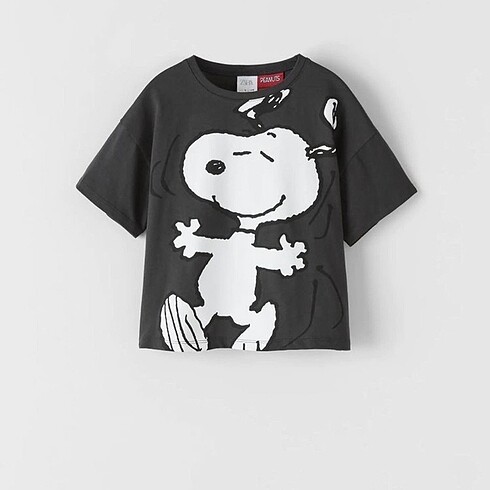 Zara ©?PEANUTS SNOOPY BASKILI T-Shirt