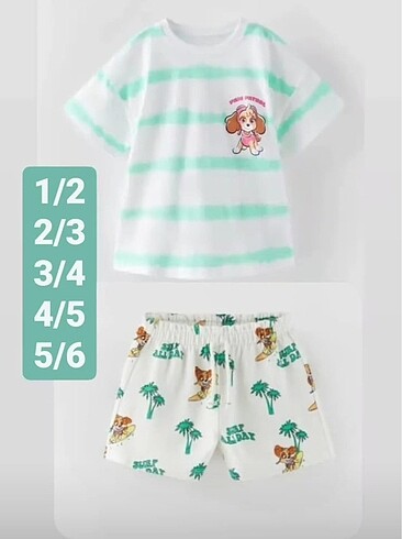 ZARA PAWPATROL DISNEY TAKIM