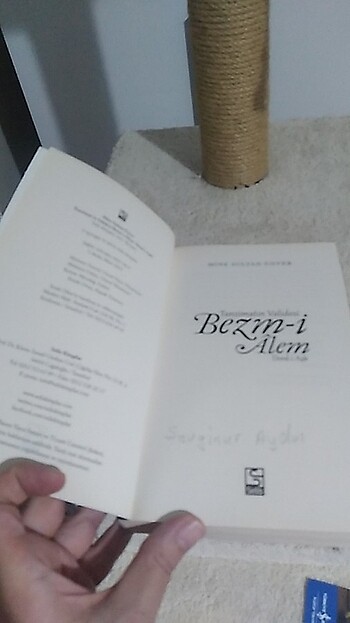  Beden Bezmi alem