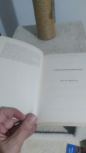  Beden Vasington portakali